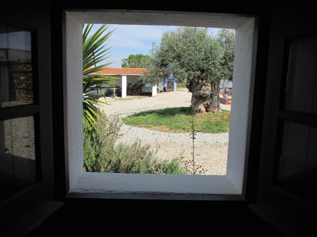 Cantar Do Grilo - Turismo Rural Serpa Quarto foto