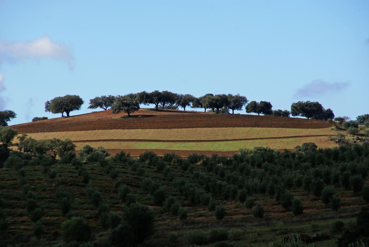 Cantar Do Grilo - Turismo Rural Serpa Exterior foto